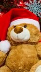 pic for Christmas Teddy Bear 